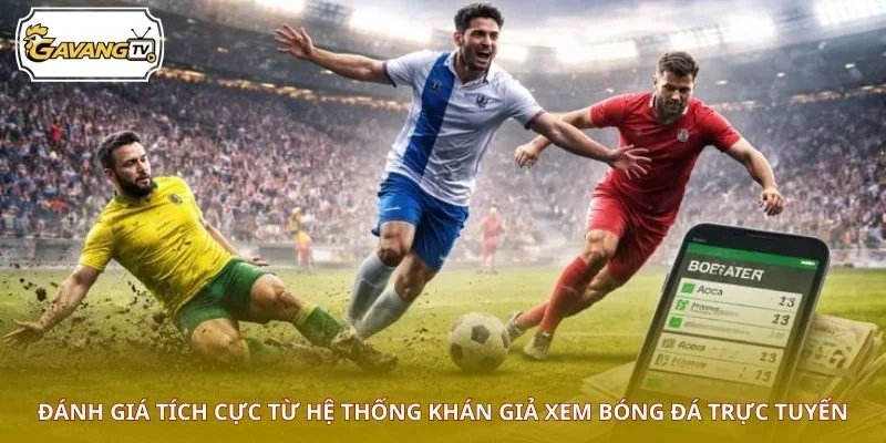 Đánh giá tích cực từ hệ thống khán giả xem bóng đá trực tuyến