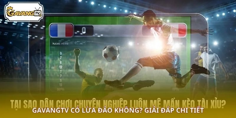 GAVANGTV có lừa đảo không? Giải đáp chi tiết