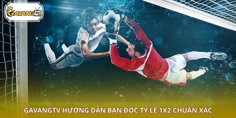 GAVANGTV hướng dẫn bạn đọc tỷ lệ 1x2 chuẩn xác