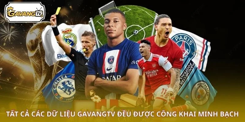 Tất cả các dữ liệu GAVANGTV đều được công khai minh bạch