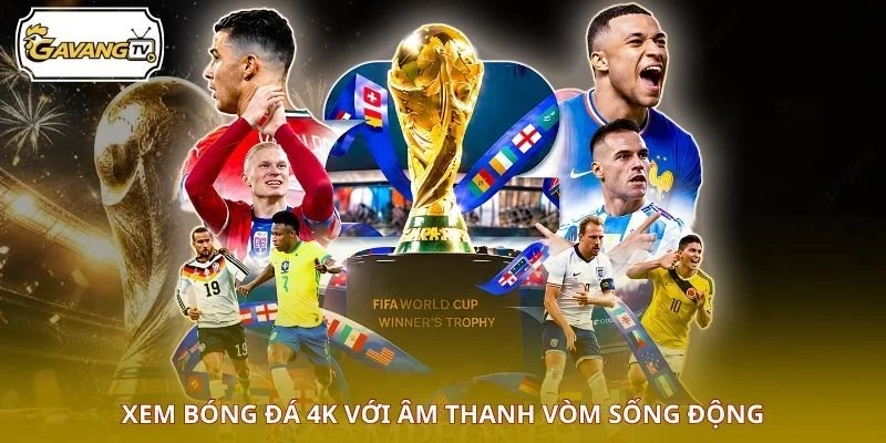 Xem bóng đá 4K với âm thanh vòm sống động